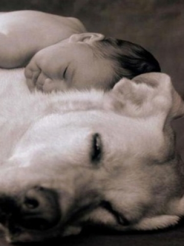 Baby and Dog Wallpaper