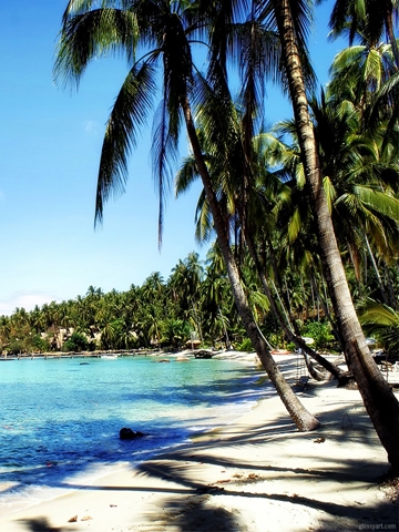Beautiful Beach Wallpaper