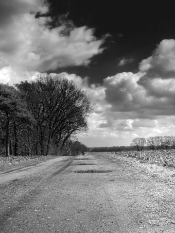 Black and White Road Wallpaper