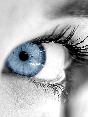 Blue Eye Contact Wallpaper