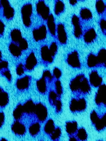 Blue Wallpaper on Blue Leopard Print Wallpaper   Iphone   Blackberry