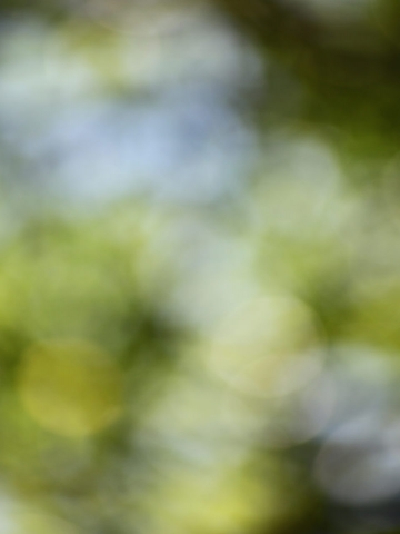 Bright Blur Wallpaper