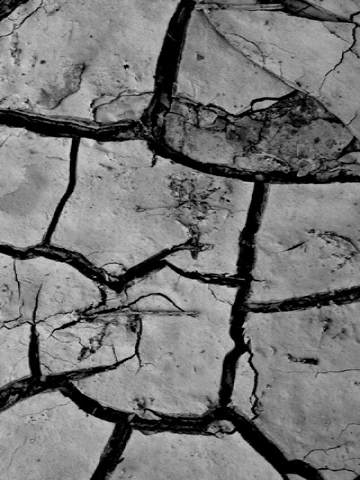 Broken Sidewalk Wallpaper