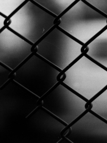 Chain Link Fence Wallpaper