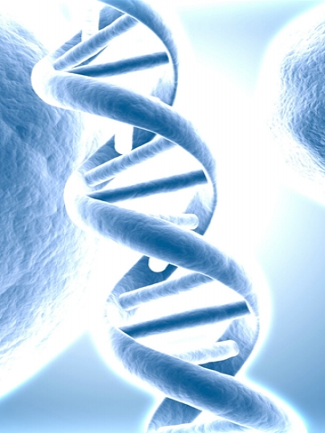 DNA String Wallpaper
