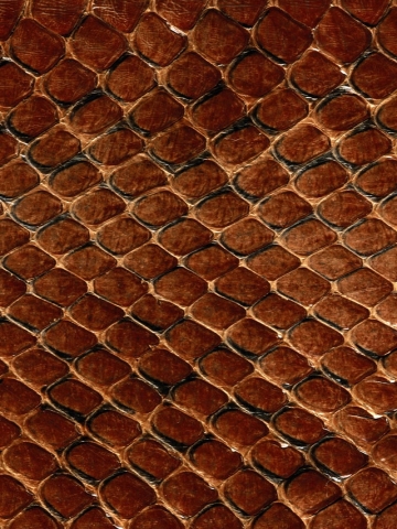 Dark Snake Skin Wallpaper