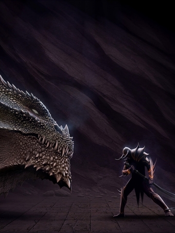 Dragon vs Ninja Wallpaper