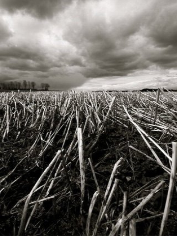 Dramatic sky Wallpaper