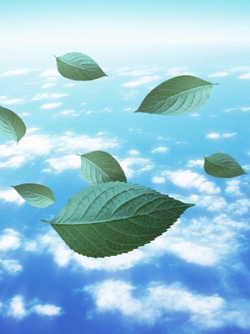Falling Leaves Wallpaper