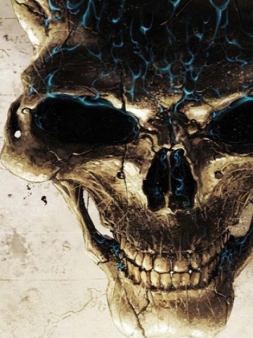 Flame Skull Wallpaper