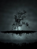 Floating Tree