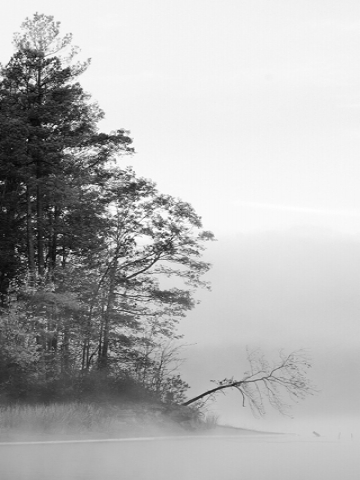 Foggy Winter Lake Wallpaper