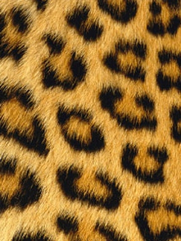 Leopard Print Wallpaper on Furry Leopard Print Wallpaper   Iphone   Blackberry