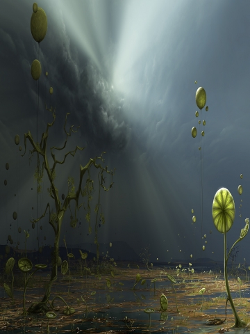 Gloomy Marsh Wallpaper