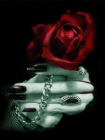 Gothic Rose Wallpaper
