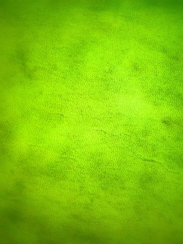 Green Grunge Wallpaper
