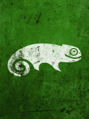 Green Lizard Wallpaper