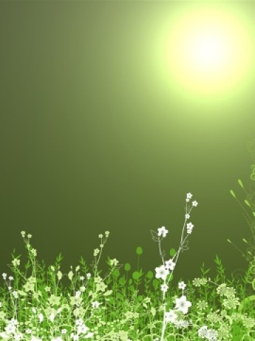 Green Meadow Wallpaper
