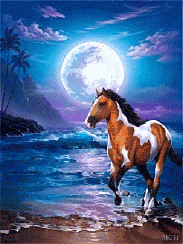 Horse in Moonlight Wallpaper