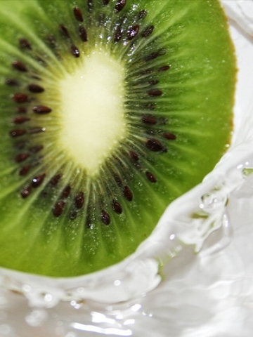Kiwi Splash Wallpaper