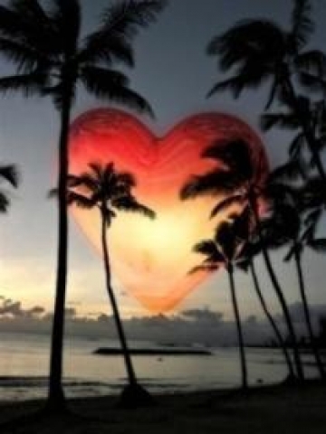 Loving Palm Trees Wallpaper