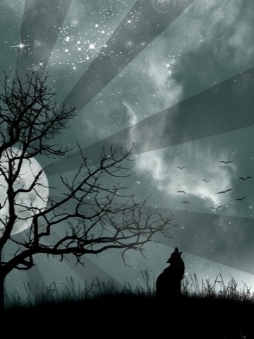Night Wolf Wallpaper