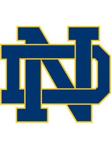 Notre Dame 2 Wallpaper