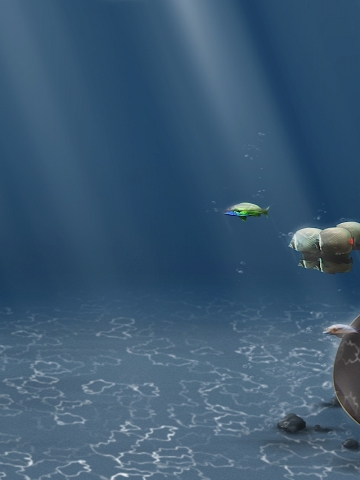 Ocean Floor Wallpaper
