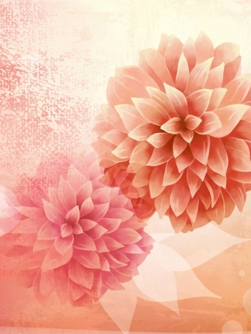 Pink Flower Balls Wallpaper