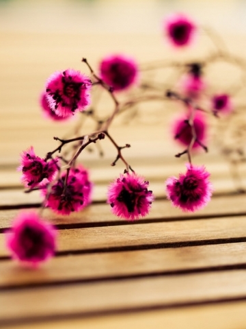 Flower Wallpaper on Pink Fuzzy Flowers Wallpaper   Iphone   Blackberry