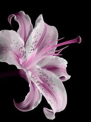 Pruple Flower Blossom Wallpaper