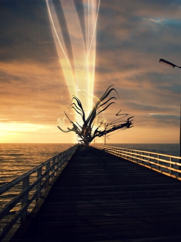 Rising from the Boardwalk Wallpaper