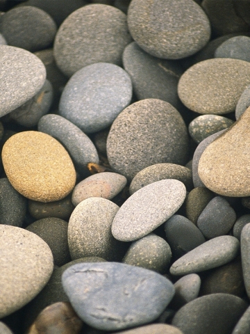 River Pebbles Wallpaper