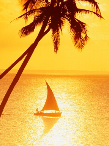 Sailboat With Sunset