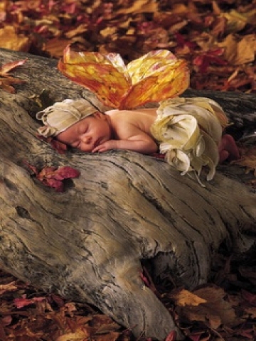 Sleeping Baby on Tree Wallpaper