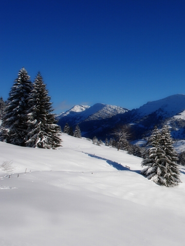 Snow in Mountains Wallpaper