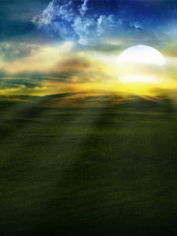 Sunny Pasture Wallpaper