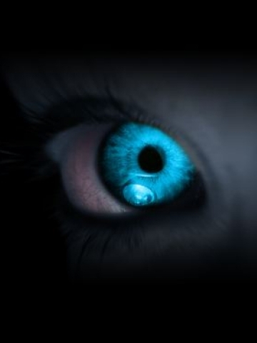 Turquoise eyes in Shadow Wallpaper