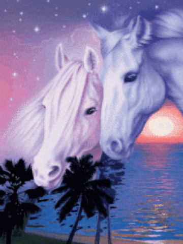 White Horse Faces Wallpaper