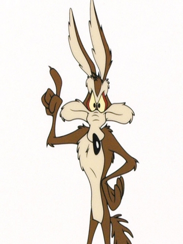 Wile E Cayote Wallpaper