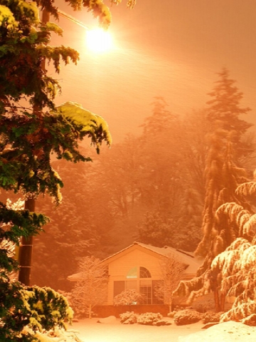 Winter Wonderland Wallpaper