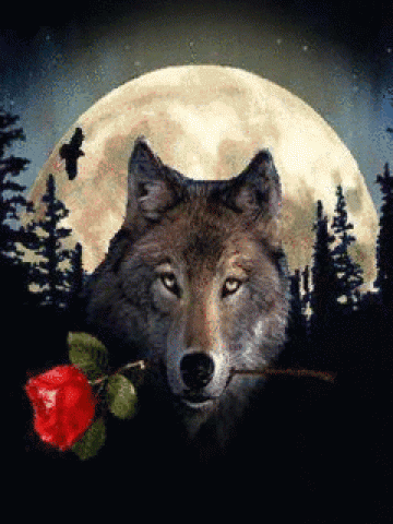 Wolf Rose