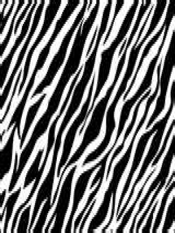 Print on Zebra Print Background Wallpaper   Iphone   Blackberry