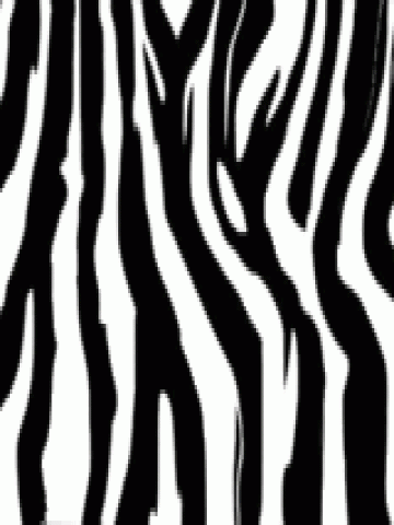 Zebra Print Wallpaper Wallpaper | iPhone | Blackberry