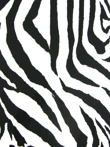 Zebra Print Wallpaper on Zebra Print Wallpaper   Iphone   Blackberry