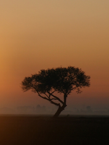 californian farm sunset Wallpaper