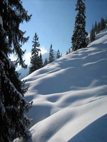 Fresh Powder Wallpaper