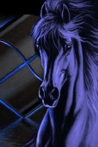 Black Beauty Wallpaper