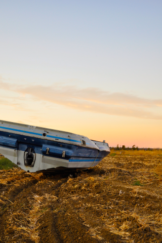 Boat in Field Wallpaper