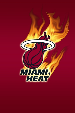 Mayami Heat on Miami Heat Fire Palm Pre Wallpaper